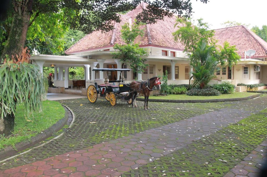 Omah Kertonegoro Hotel Yogyakarta Kültér fotó